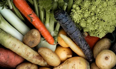 Mutfakta İsrafı Bitiriyoruz: Atıksız Yemek Tarifleri