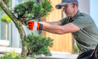 Yeşil Peyzaj ve Permakültür Bahçeleri Nedir?
