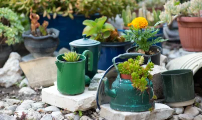 Sürdürülebilir Bahçe Tasarımı Önerileri
