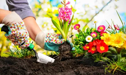 Doğal ve Güzel Bahçeler İçin Neler Yapabilirsin?