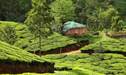Ekolojik Tatil: Organik Yaşamı Benimseyen En İyi Ekolojik Tatil Köyleri