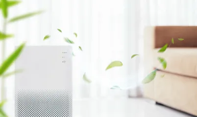 Ev İçinde ve Ofiste Havayı Nasıl Temizlersin?