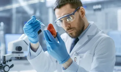 Genetiği Değiştirilmiş Ürünlerin Zararları