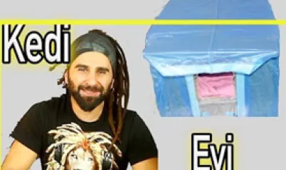 En kolay Kedi Evi Nasıl Yapılır?