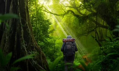 Orman Banyosu ve Yürüyüş Rotaları ile Ruhunu Dinlendirme Vakti