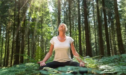 Orman Terapisi (Shinrin Yoku) Nedir ve Nasıl Uygulanır?