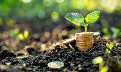 Pasif Gelir İçin Fikriniz Baharla Filizlensin: Mikro Yatırımlarla Büyük Kazanç Mümkün mü?