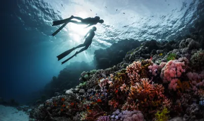 Serbest Dalış: Nefesini Tutup Suyun Derinliklerine İnmek