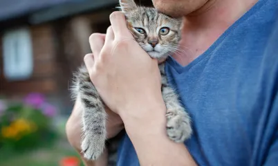 Sokak Hayvanlarını Sahiplendirirken Dikkat Edilmesi Gerekenler