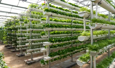 Topraksız Tarım Dünyamızın Geleceğini Şekillendiriyor