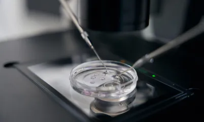 Biyomateryal Nedir, Nerelerde Kullanılır?