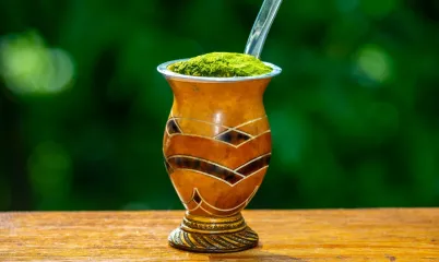 Terere / Mate Çayı Nedir?