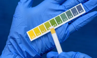 Vücudun pH Dengesini Sağlamak İçin Besin Seçimleri