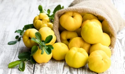 Kasım Ayının Meyvesi Ayvanın Sağlığın İçin Faydaları 