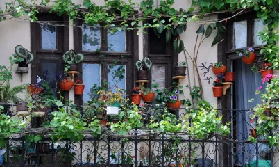 Her Eve Lazım Olan 10 Şey