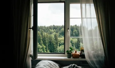 Evinin Havasını Nasıl Daha Sağlıklı Hale Getirirsin?