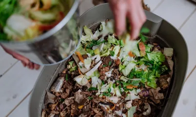 Evde Kompost Yapımı: Organik Atıkları Değerlendirmenin Yolları