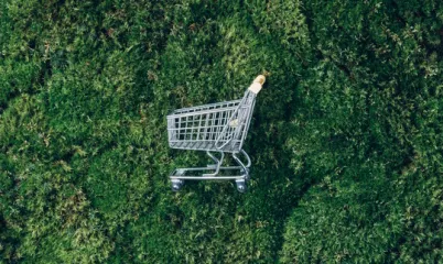 Net Sıfır Karbon Ne Demek, Nasıl Uygulanır, Nasıl Uygulanmalı?