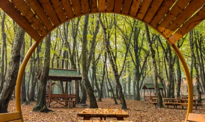 İstanbul Yakınında Piknik Yapabileceğin Mekanlar