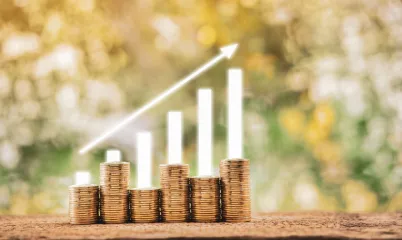 30 Günlük Bahar Tasarruf Meydan Okuması (Spring Savings Challenge)