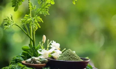 Moringa Bitkisi ve Çayının Sağlığın İçin Faydaları