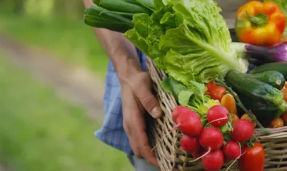 Organik Ürün Belgesi / Sertifikası Nasıl Alınır?