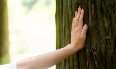 Ormanlarımızı Korumak İçin Neler Yapabilirsin?