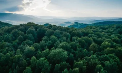 Mutlaka Görmen Gereken Nefes Kesici Ormanlar