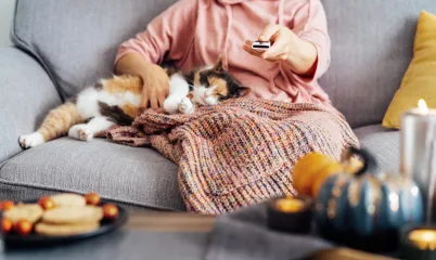 Yeniden Popüler Olan Diziler