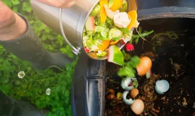 Sebze ve Meyve Atıklarını Nasıl Değerlendirebilirsin?