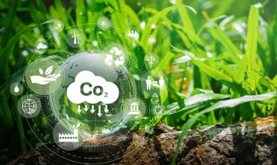 Sera Etkisi Nedir? Sera Gazı ve Etkileri Konusunda Bilmen Gerekenler