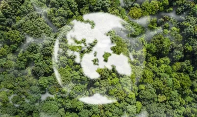 Sürdürülebilirlik İçin Sıfır Atık Nasıl Sağlanır