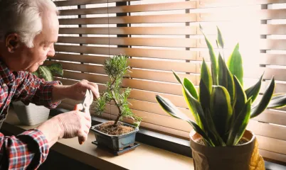 Kendi Küçük Zen Bahçeni Oluşturma: Evde Minyatür Bir Huzur Köşesi Yaratmanın Yolları