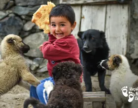 Bazen Bir Fotoğraf, Mutluluğun Ne Kadar Sade Olabileceğini Hatırlatır 