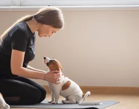 Tatlı Bir Trend: Puppy Yoga