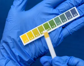 Vücudun pH Dengesini Sağlamak İçin Besin Seçimleri