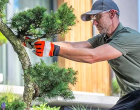 Yeşil Peyzaj ve Permakültür Bahçeleri Nedir?