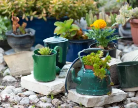 Sürdürülebilir Bahçe Tasarımı Önerileri