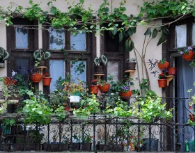 Her Eve Lazım Olan 10 Şey