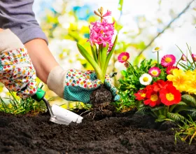 Doğal ve Güzel Bahçeler İçin Neler Yapabilirsin?