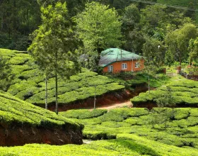 Ekolojik Tatil: Organik Yaşamı Benimseyen En İyi Ekolojik Tatil Köyleri