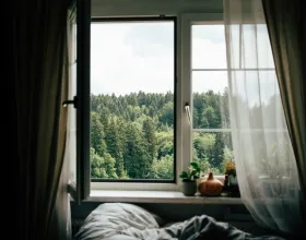 Evinin Havasını Nasıl Daha Sağlıklı Hale Getirirsin?