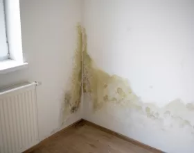 Evdeki Rutubeti Yok Etmenin Yolları