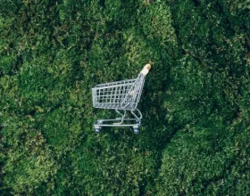 Net Sıfır Karbon Ne Demek, Nasıl Uygulanır, Nasıl Uygulanmalı?