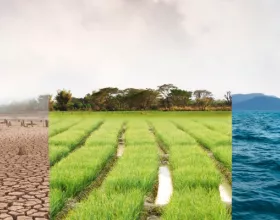 İklim Değişikliği Hakkında Bilmen Gerekenler