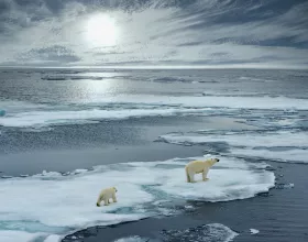 Sürdürülebilirliğin ve İklim Krizinin Psikolojisi Nasıl Yönetilmeli