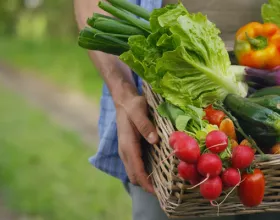 Organik Ürün Belgesi / Sertifikası Nasıl Alınır?