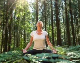 Orman Terapisi (Shinrin Yoku) Nedir ve Nasıl Uygulanır?