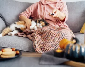 Yeniden Popüler Olan Diziler