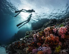 Serbest Dalış: Nefesini Tutup Suyun Derinliklerine İnmek